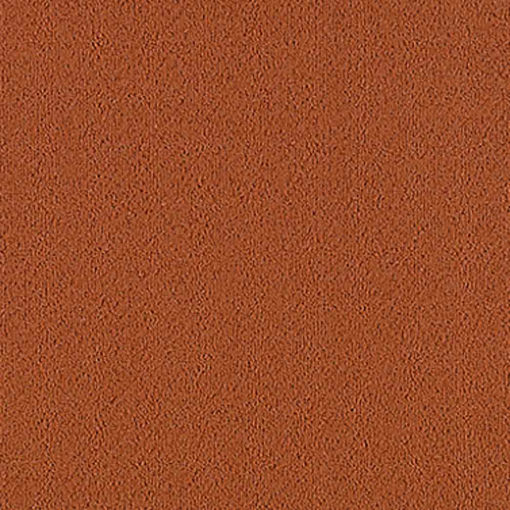 Mohawk Color Pop 12x36 2B136 Cajun Spice 258