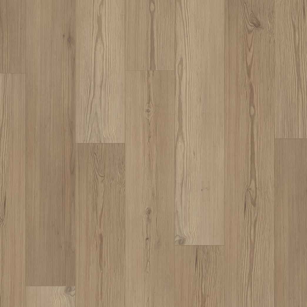 Happy Feet Laminate Arrival 10 Ponderosa Pine LM1015