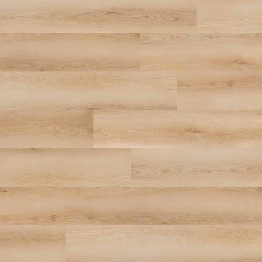 Nova Floor Dansbee Contemporary Maple Laguna NDP011