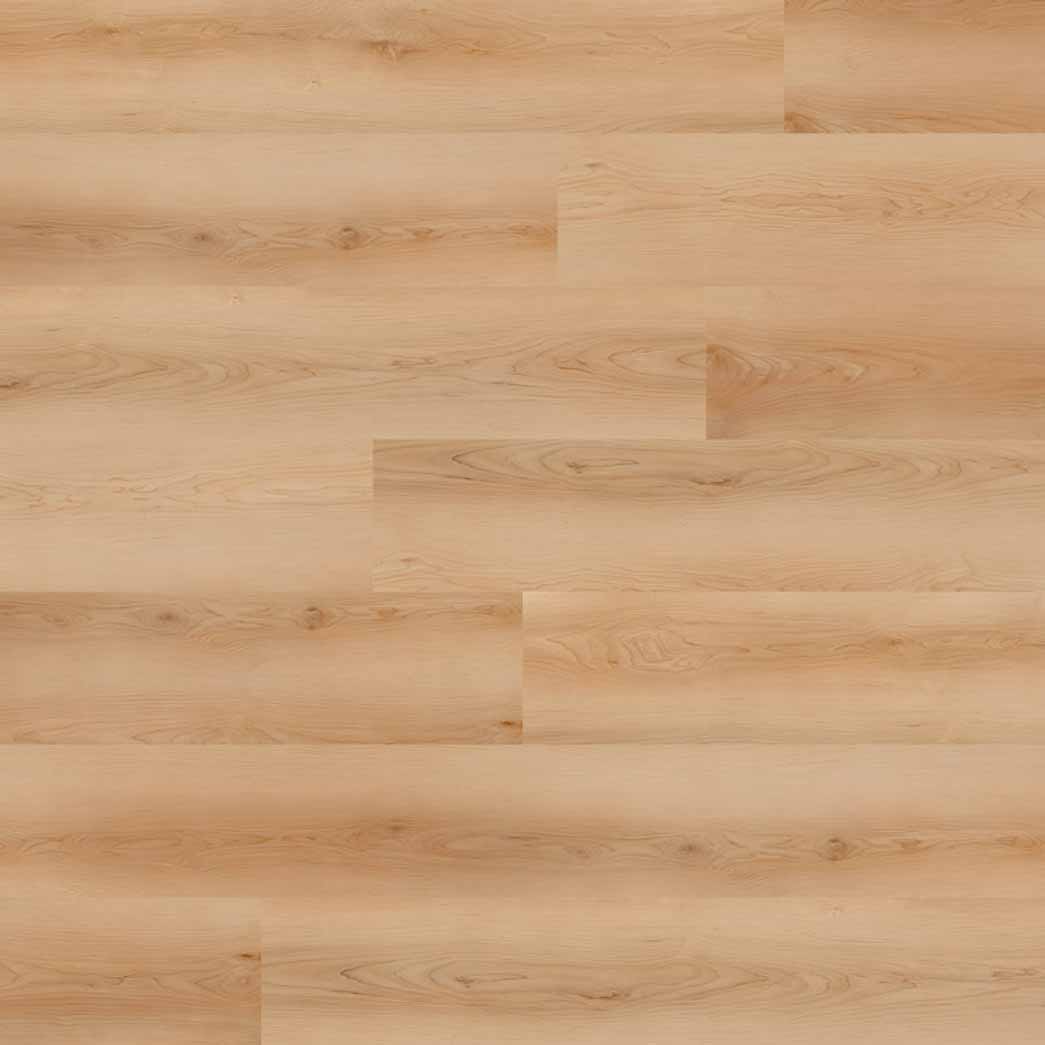 Nova Floor Dansbee Contemporary Maple Malibu NDP012