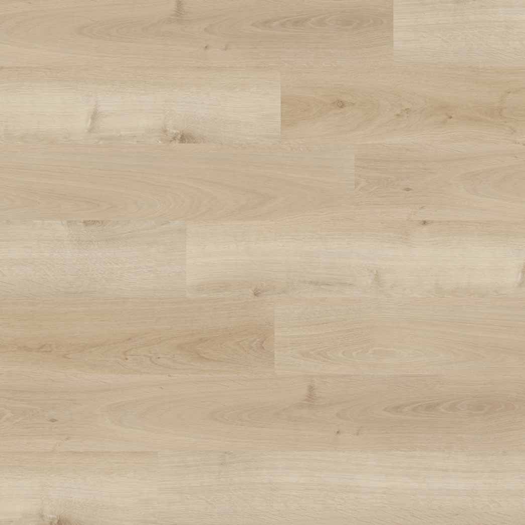 Nova Floor Dansbee French Oak Pearl NDP001