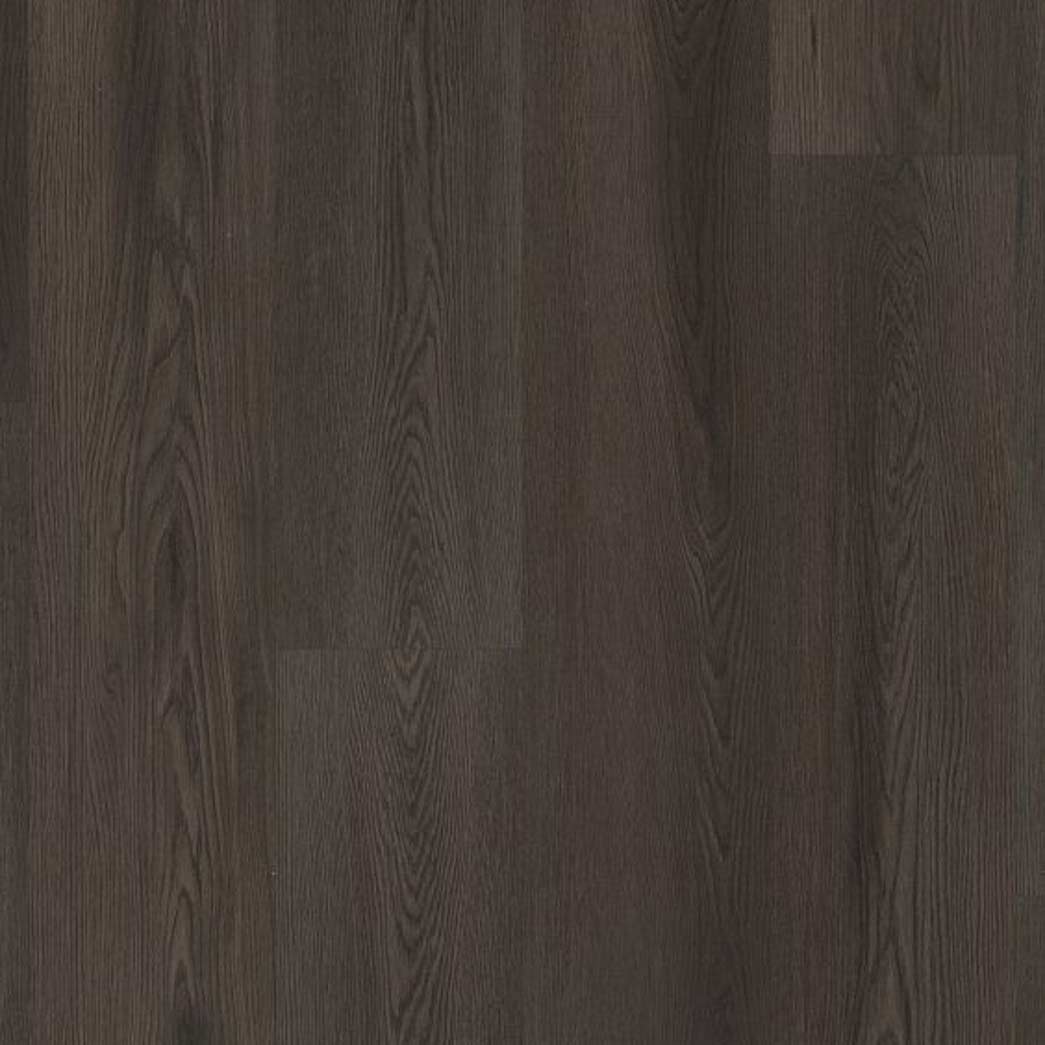 Shaw LVT Philosopher's Tree 5599V Burnished Timber 00709