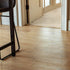 Xulon Flooring Noble Hall 11020 Sovereign Wire Brushed European Oak AA816 S