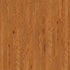 Shaw Albright Oak 3.25 SW581 Caramel 00223