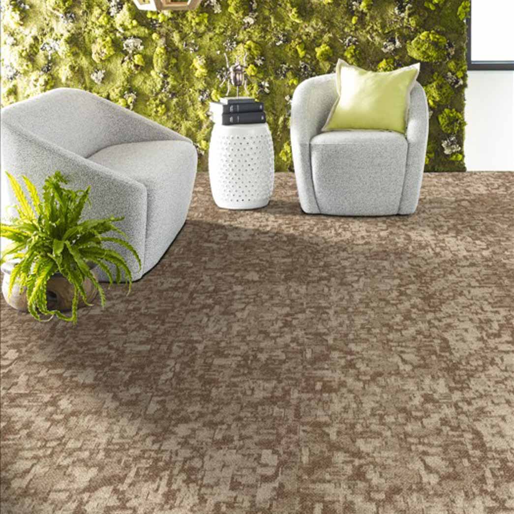 Shaw Arid 18x36 54848 Mesa 00801