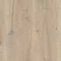 Beauflor-Laminate-Hydrana-Gyant-Light-Natural-62001644