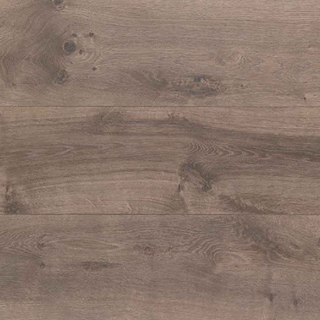 Chesapeake-All-American-Misty-Hollow-Oak