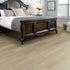 Shaw Distinction Plus Luxury Vinyl Plank 2045V (SAMPLE)