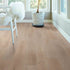 Shaw Distinction Plus Luxury Vinyl Plank 2045V (SAMPLE)