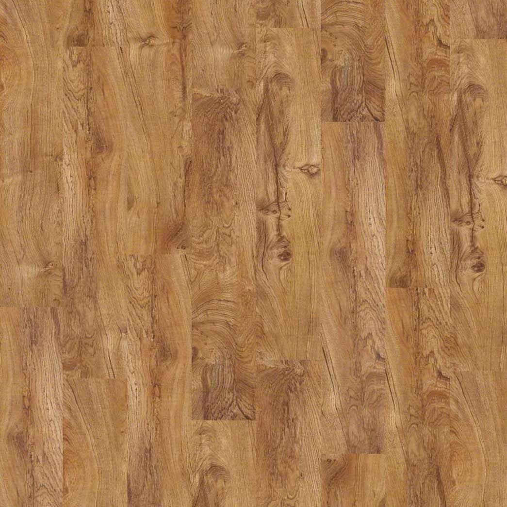 Shaw Georgetown Plus Plank SA379 Tropic 00600