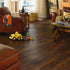 Mannington-Adura-Flex-Plank-Acacia-African-Sunset-FXP010-(Room-Scene)