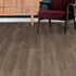 Shaw Paladin Plus 7" Luxury Vinyl Plank 0278V