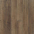 Shaw Paragon 5 Plus 1019V Tactile Pine 07038