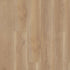 Shaw-LVP-Paragon-HD+Natural-Bevel-3038V-Edgemont-02050-Swatch