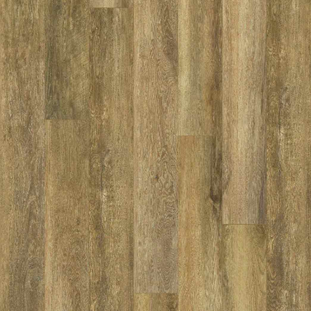 Shaw-Paragon-XL-HD-Plus-2033V-Brown-Sugar-Oak-07054